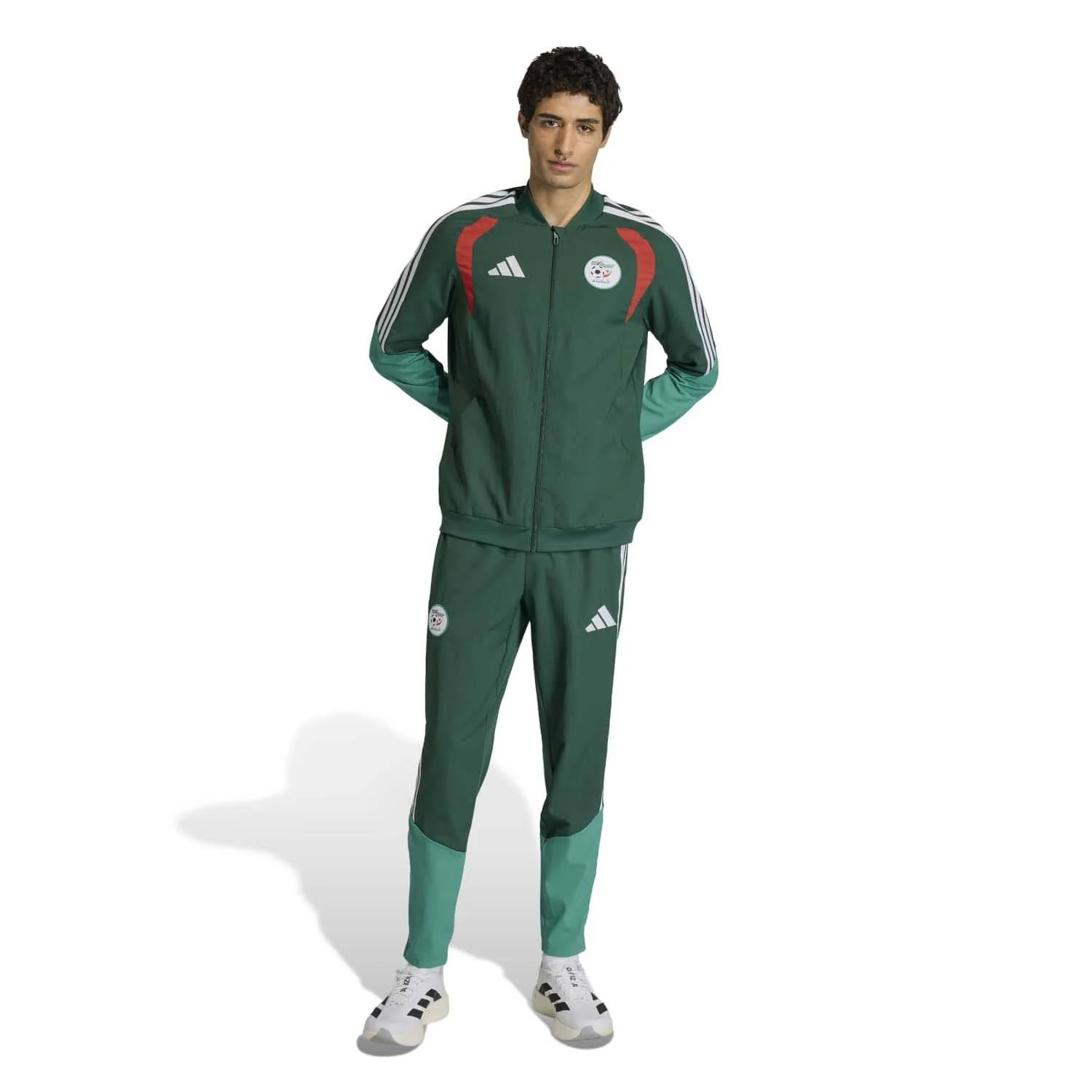 Miniatuur 6