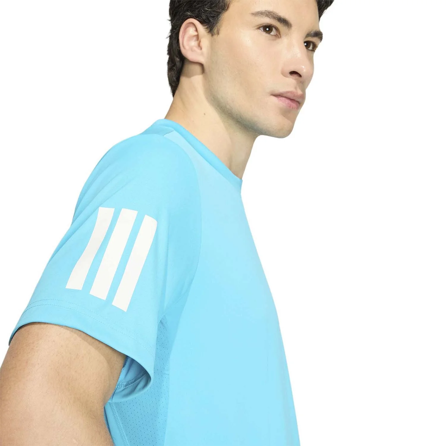 Miniatuur 3