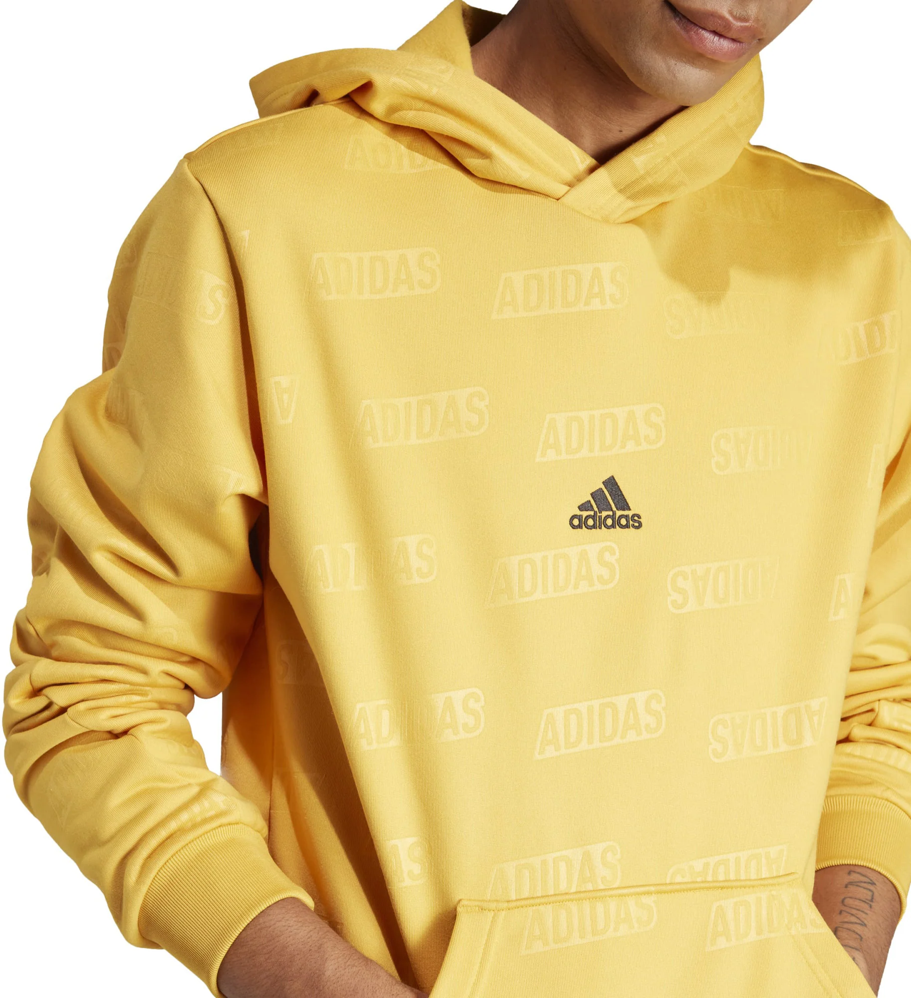 Miniatuur 2