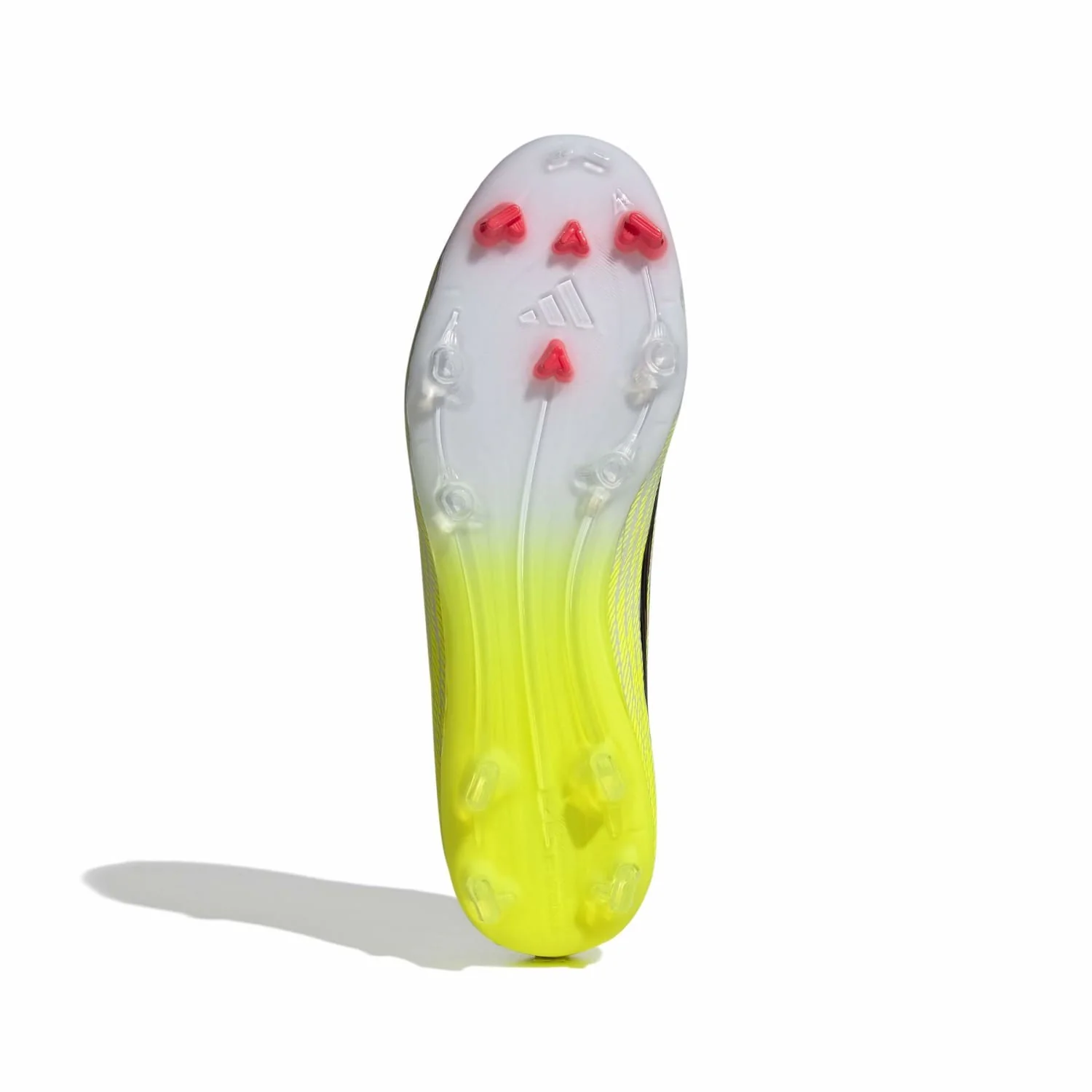 Miniatuur 2
