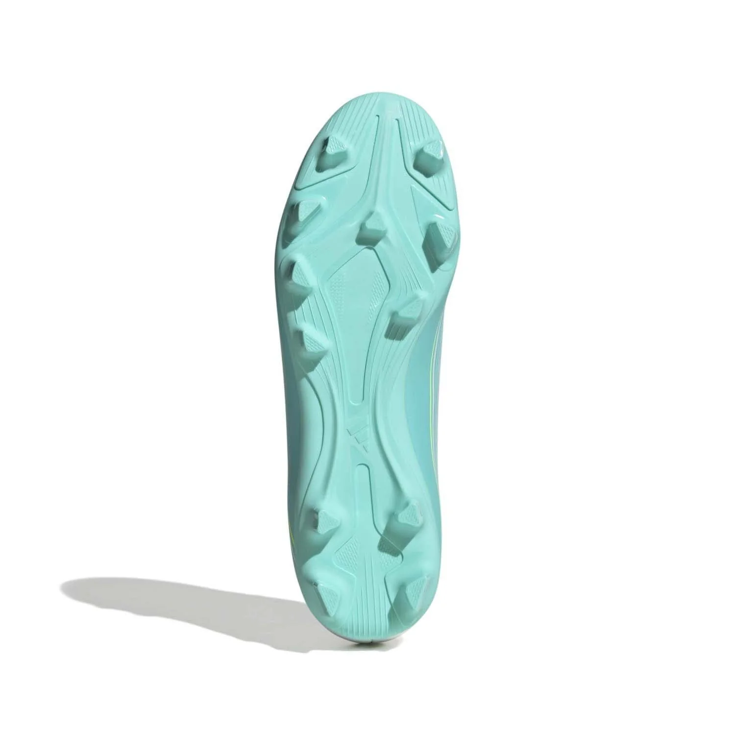 Miniatuur 4