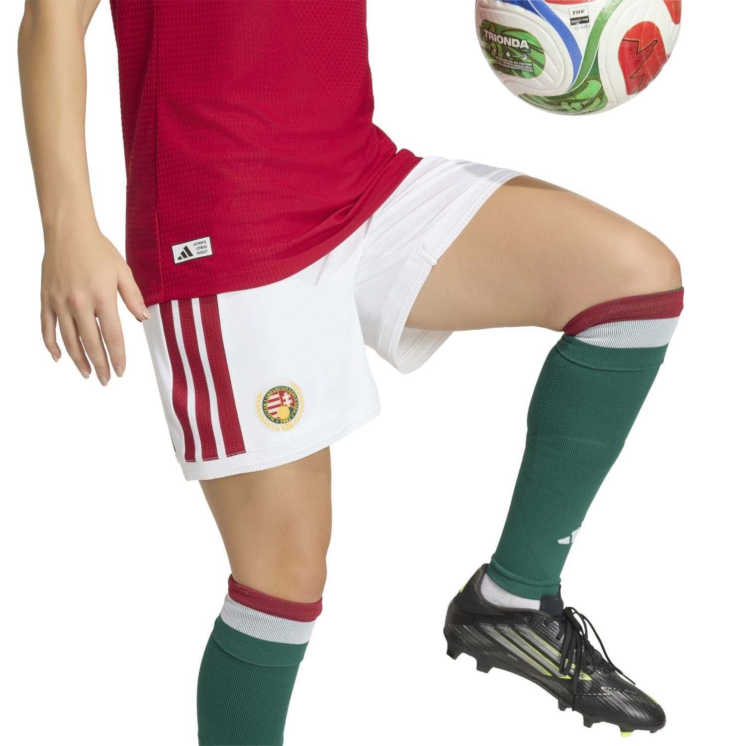 Miniatuur 5