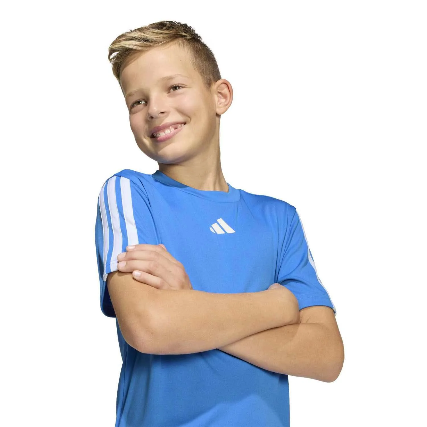 Miniatuur 4
