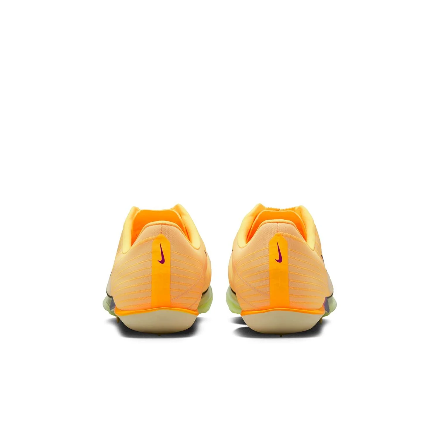 Miniatuur 3