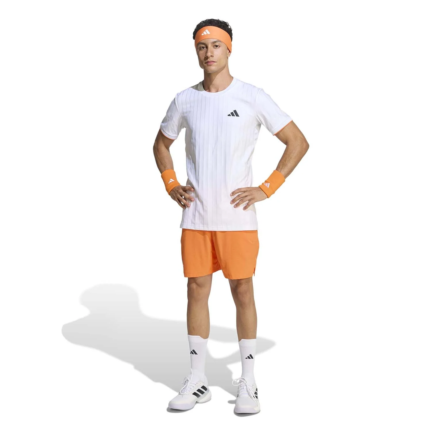 Miniatuur 6