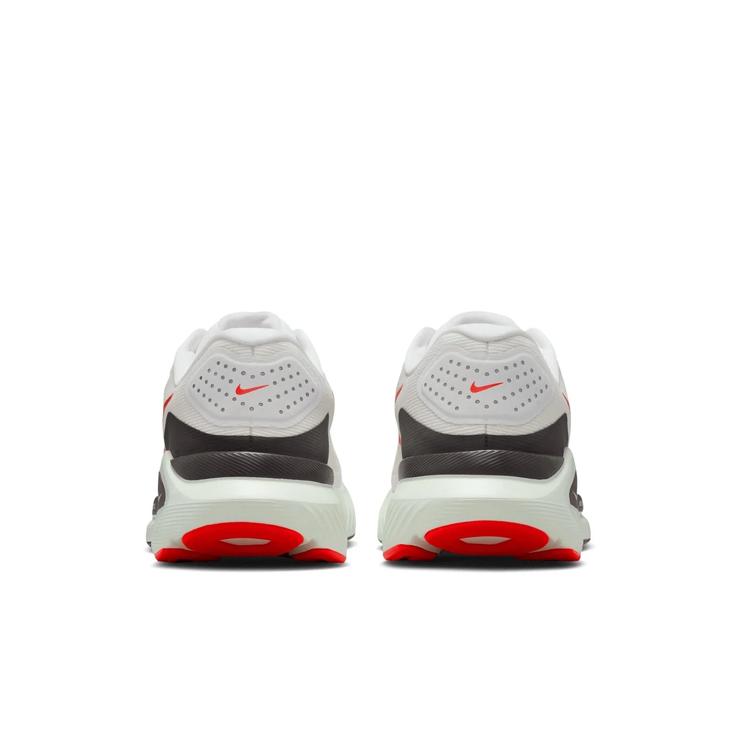 Miniatuur 3