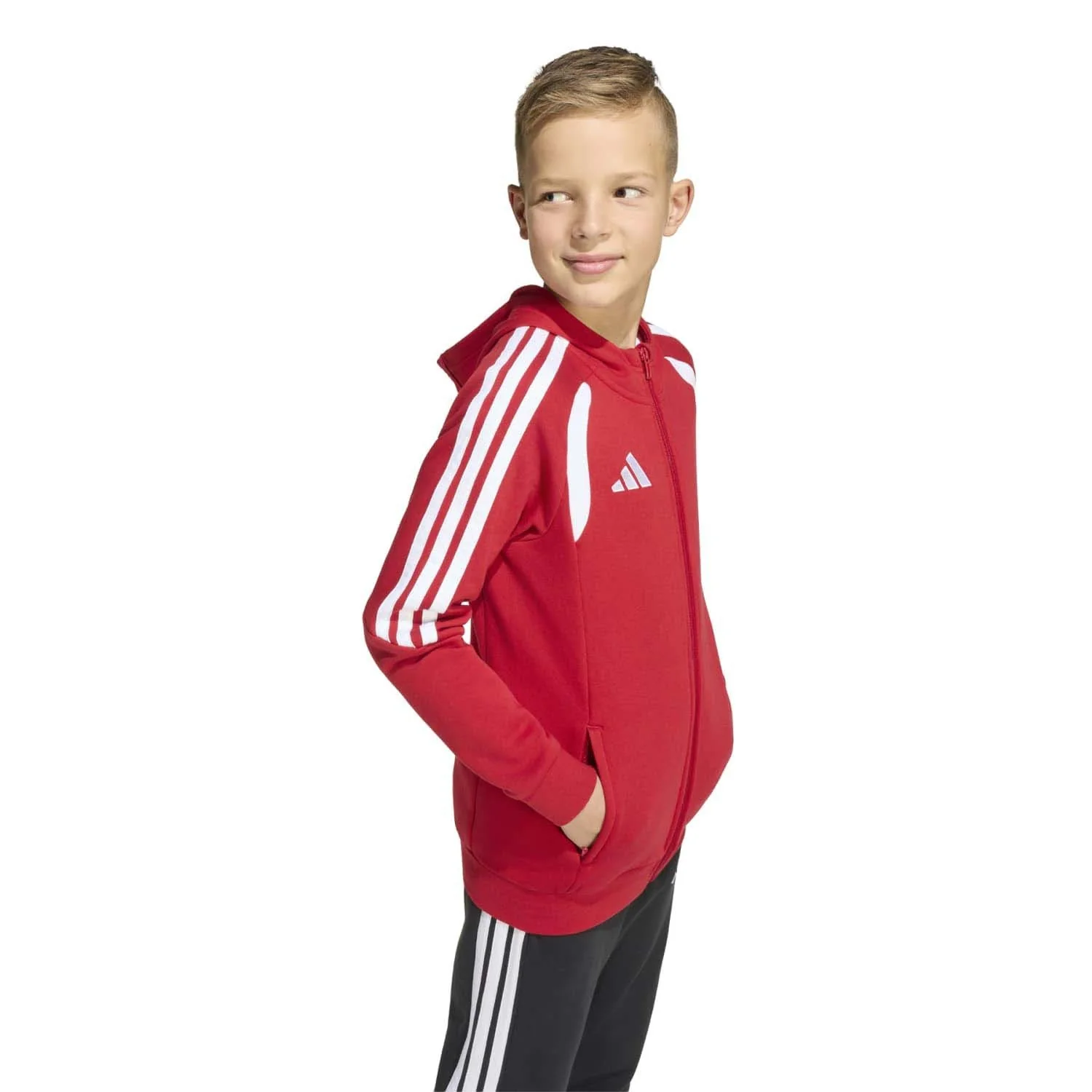 Miniatuur 4